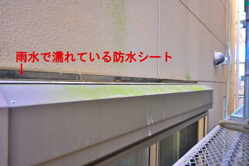 濡れた防水シート