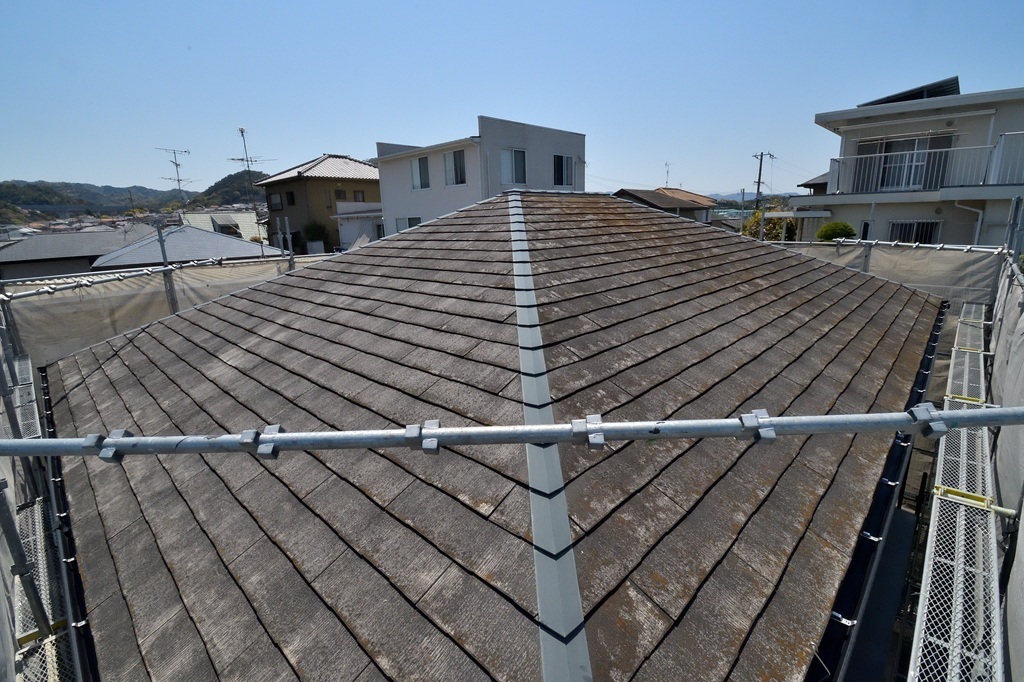 カラーベスト洗浄前