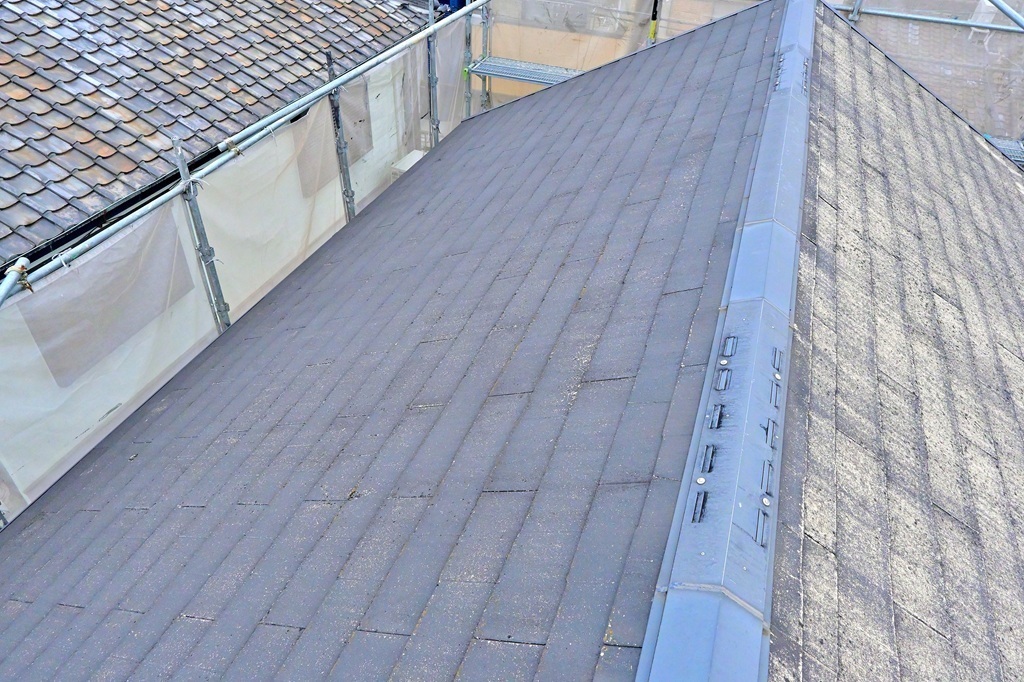 カラーベスト洗浄前