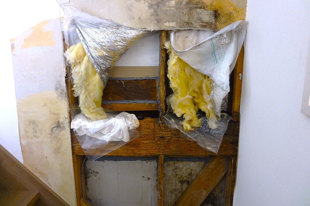 クラックが原因で木部が腐朽