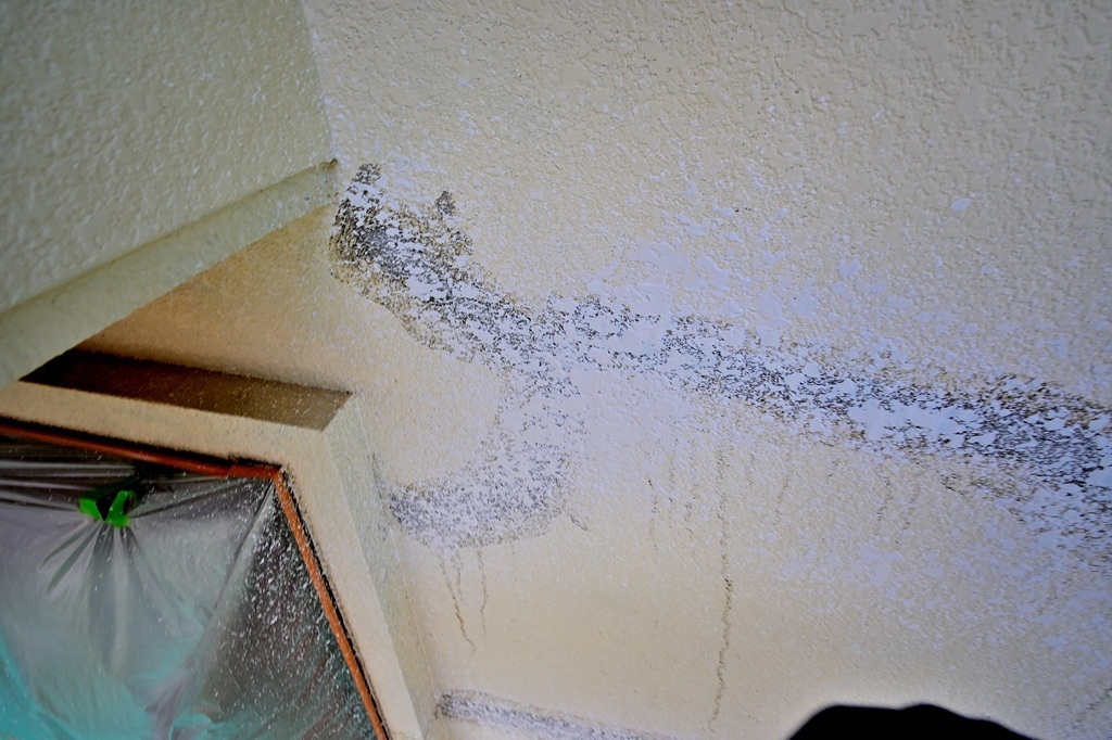 吹き戻し塗装後